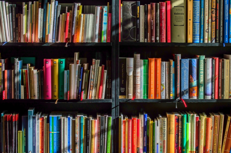 boutique-ILONSE-min_books_bookstore_book_reading_shop_writer_sale_books_read-822866